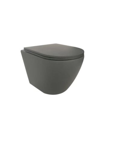 WALL HUNG WC 2381 GREY MAT WITH SOFT CLOSE COVER PICCADILLY