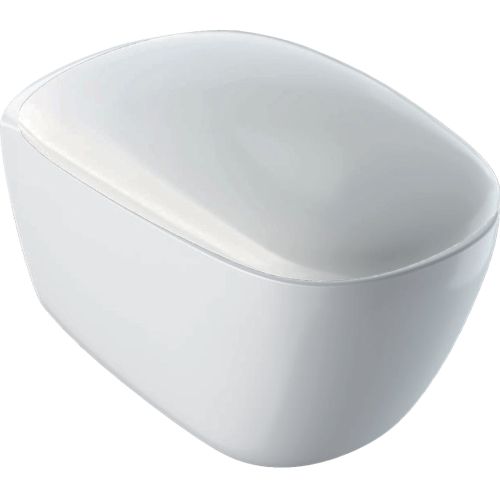 WALL-HUNG WC CITTERIO RIMFREE 56cm WITH HORIZONTAL OUTLET WITH ROUND SOFT CLOSE SEAT AND COVER WHITE GEBERIT
